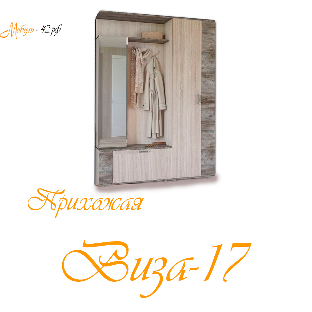 Виза-17